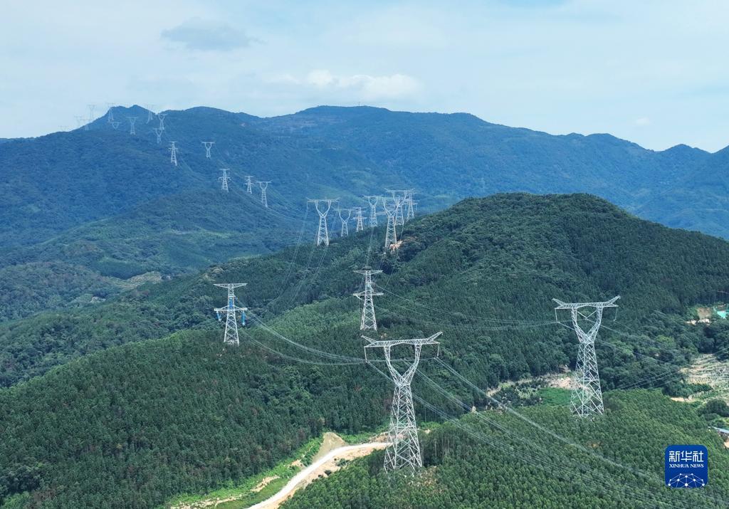 百家什乐鲨鱼分析软件